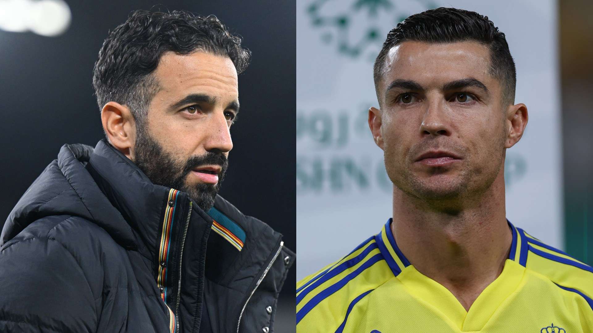 段話毫無疑 段話毫無疑