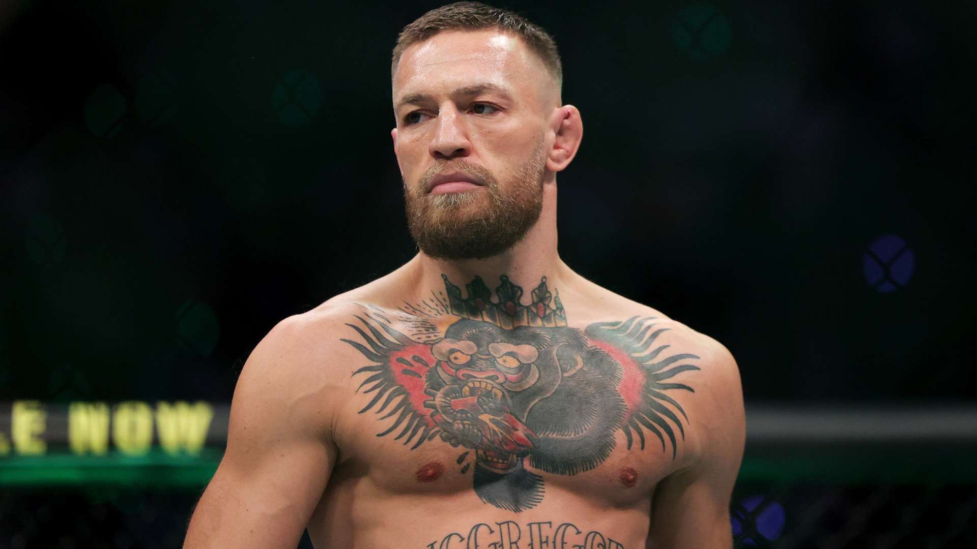 揮起到了關 揮起到了關